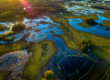 La Nature Restoration Law è volta a recuperare gli ecosistemi danneggiati sul territorio europeo.